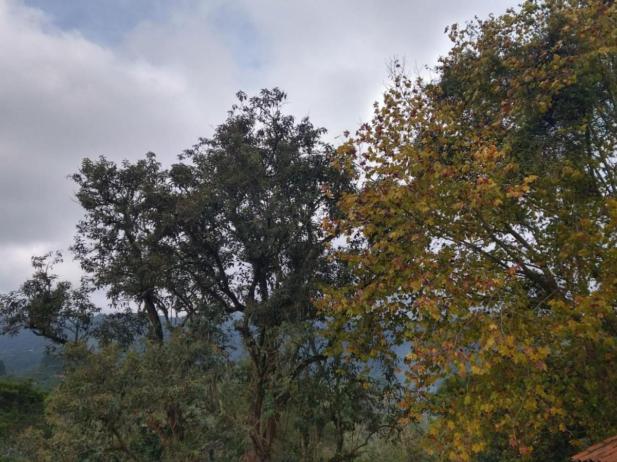 Pousada Estrela Da Serra Monte Verde  Kültér fotó
